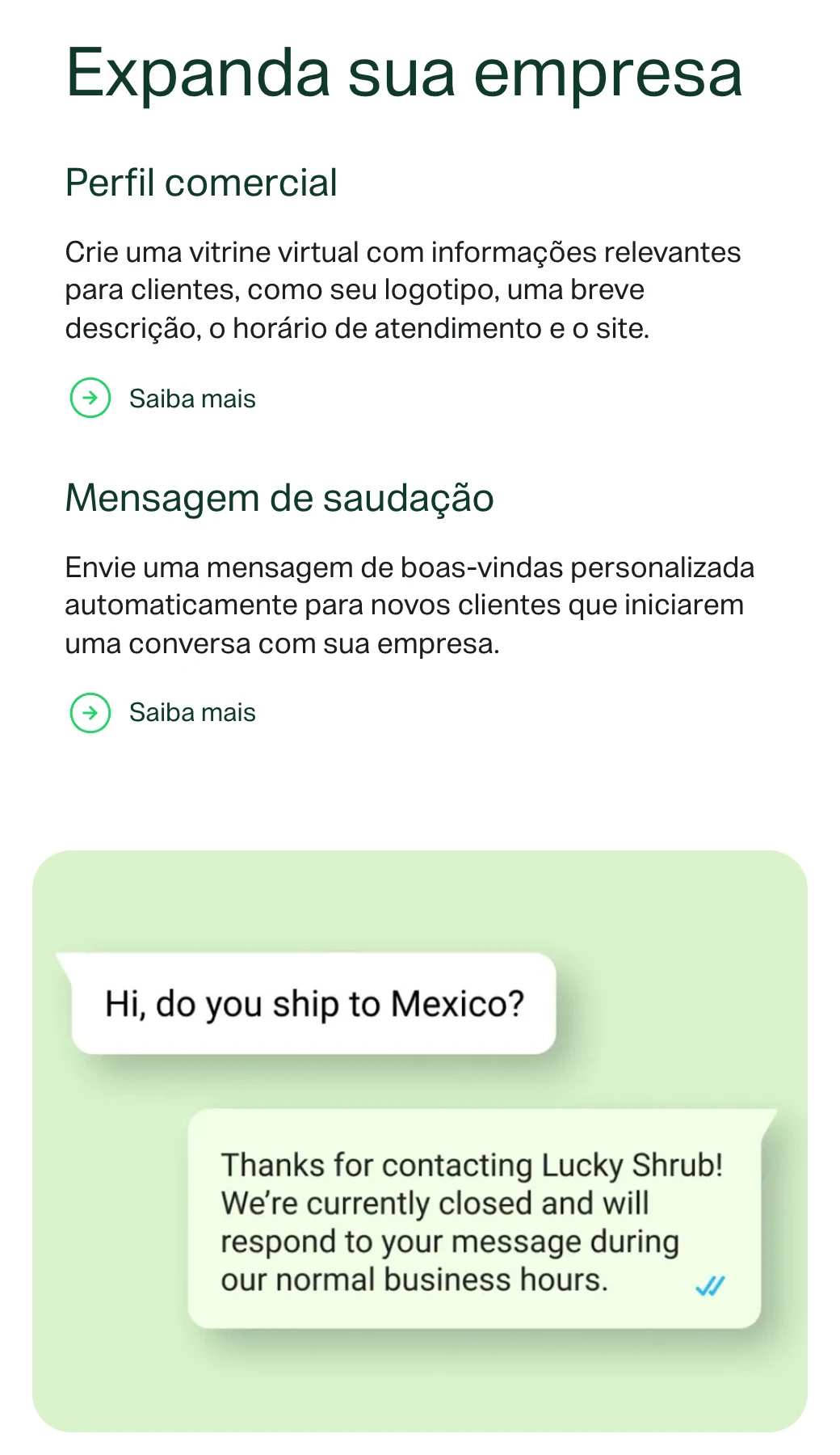 A página de recursos do app WhatsApp Business, em português: o perfil comercial (logotipo, descrição, horário de atendimento e site) e a mensagem de saudação; embaixo, uma mensagem automática de ausência respondendo um cliente fora do horário.