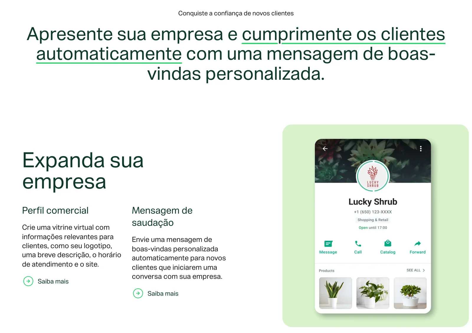 A página oficial dos recursos do app WhatsApp Business, em português: “Apresente sua empresa e cumprimente os clientes automaticamente com uma mensagem de boas-vindas personalizada”, os recursos Perfil comercial (logotipo, descrição, horário de atendimento e site) e Mensagem de saudação, e a ilustração de um perfil comercial com horário, botões de mensagem, ligação e catálogo, e os produtos.
