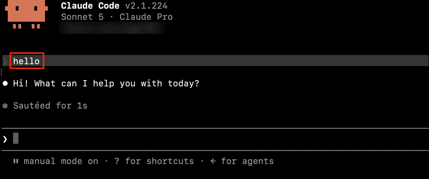 Claude Code no Terminal do Mac com “Claude Code v2.1.224”, “Sonnet 5 · Claude Pro”, o pedido “hello” e a resposta “Hi! What can I help you with today?”