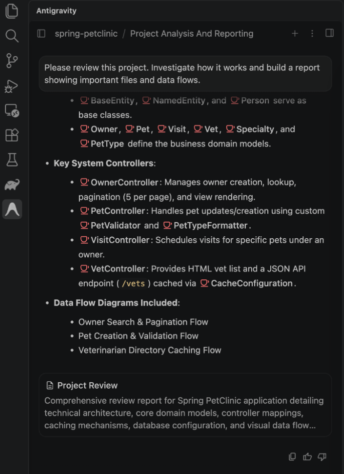 O painel do Antigravity dentro do VS Code: o ícone do Antigravity na barra da esquerda, o pedido de revisar o projeto spring-petclinic e o relatório que o agente montou, com o cartão Project Review no fim